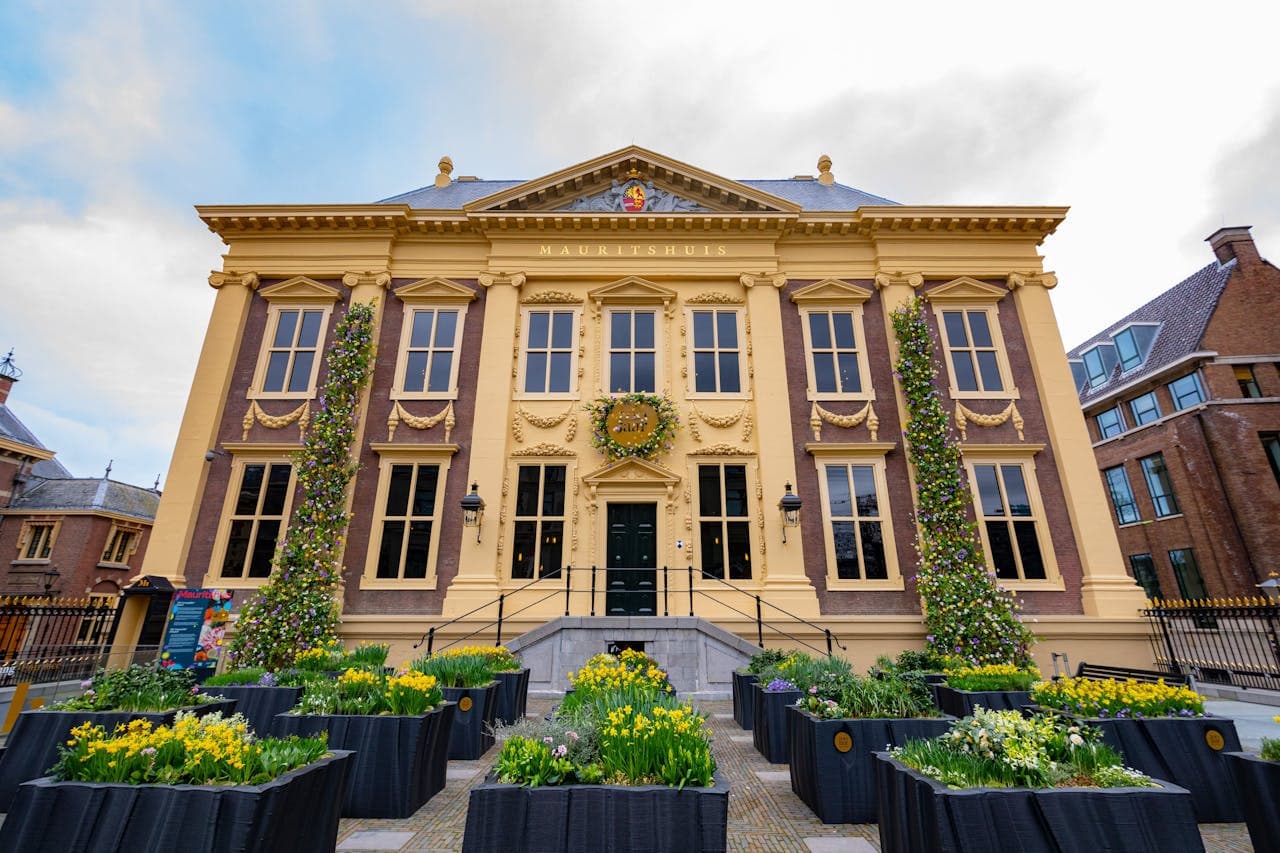 The Mauritshuis Museum Ticket - სურათი 6