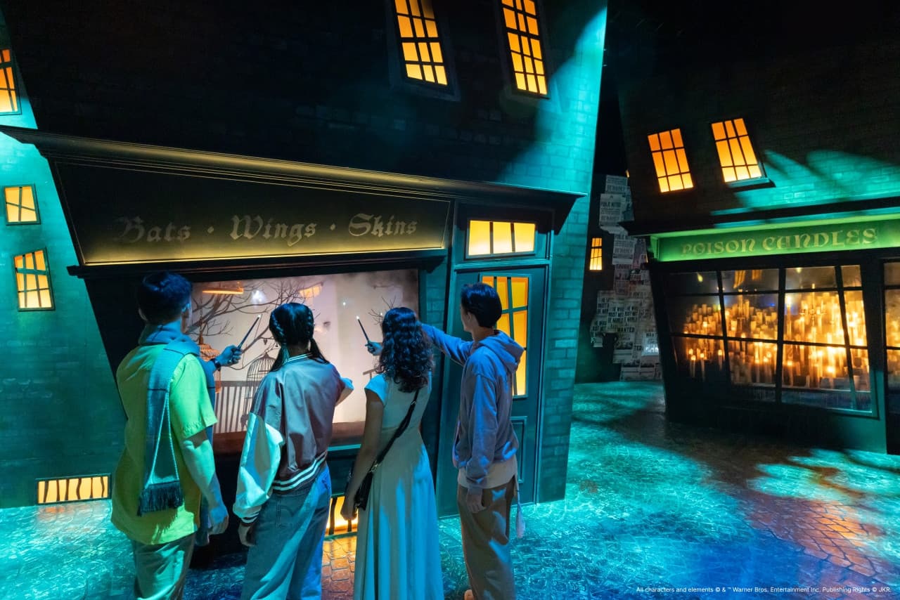 Harry Potter: Visions of Magic - სურათი 9