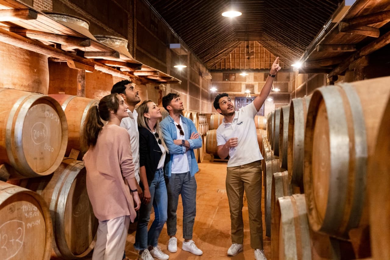 Toledo City Tour from Madrid with Wine Tasting Experience - სურათი 8