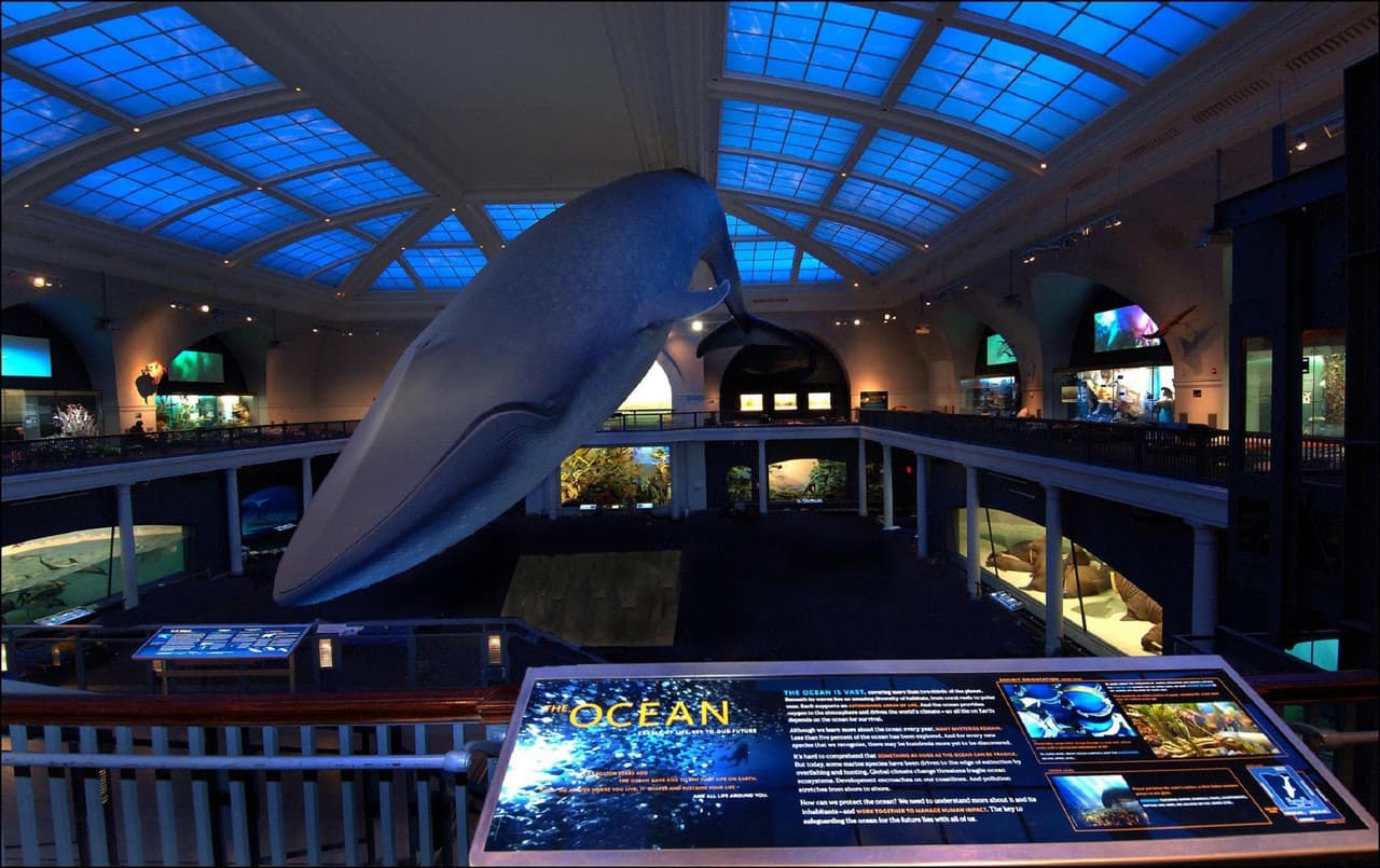 American Museum of Natural History Ticket - სურათი 9