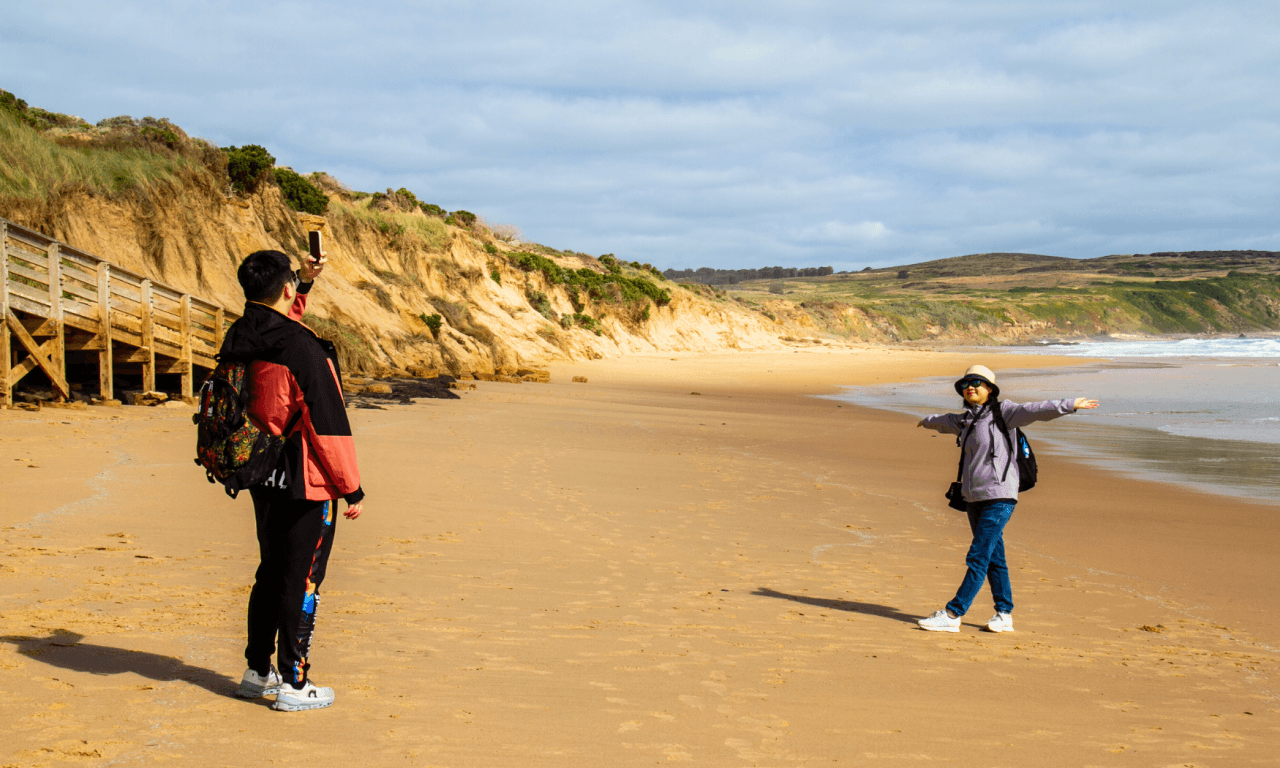 Phillip Island with Penguin Parade Eco Tour - სურათი 17