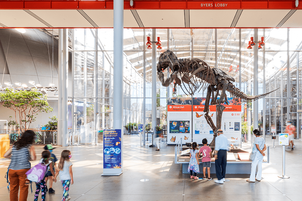 California Academy of Sciences Ticket - სურათი 8