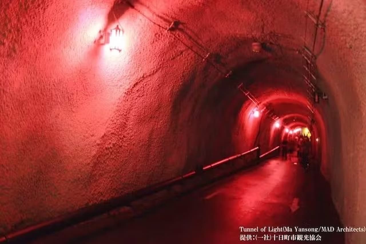 Kiyotsukyo Gorge Tunnel Ticket - სურათი 9