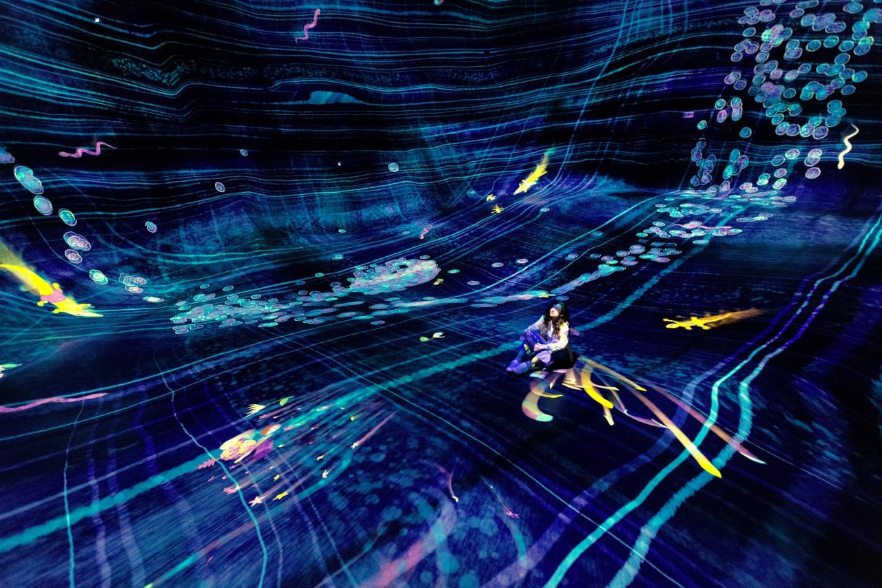 teamLab Phenomena Abu Dhabi Ticket - სურათი 4