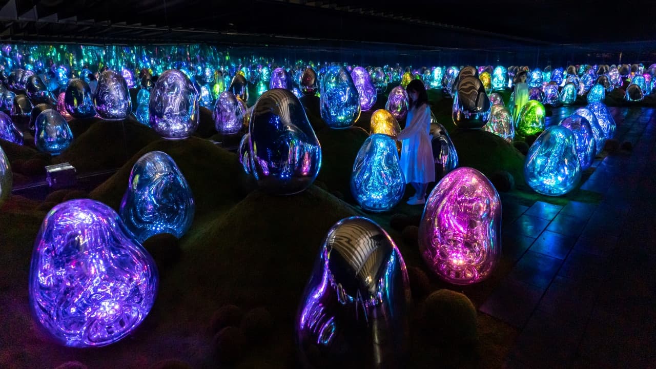 teamLab Planets TOKYO Ticket - სურათი 4