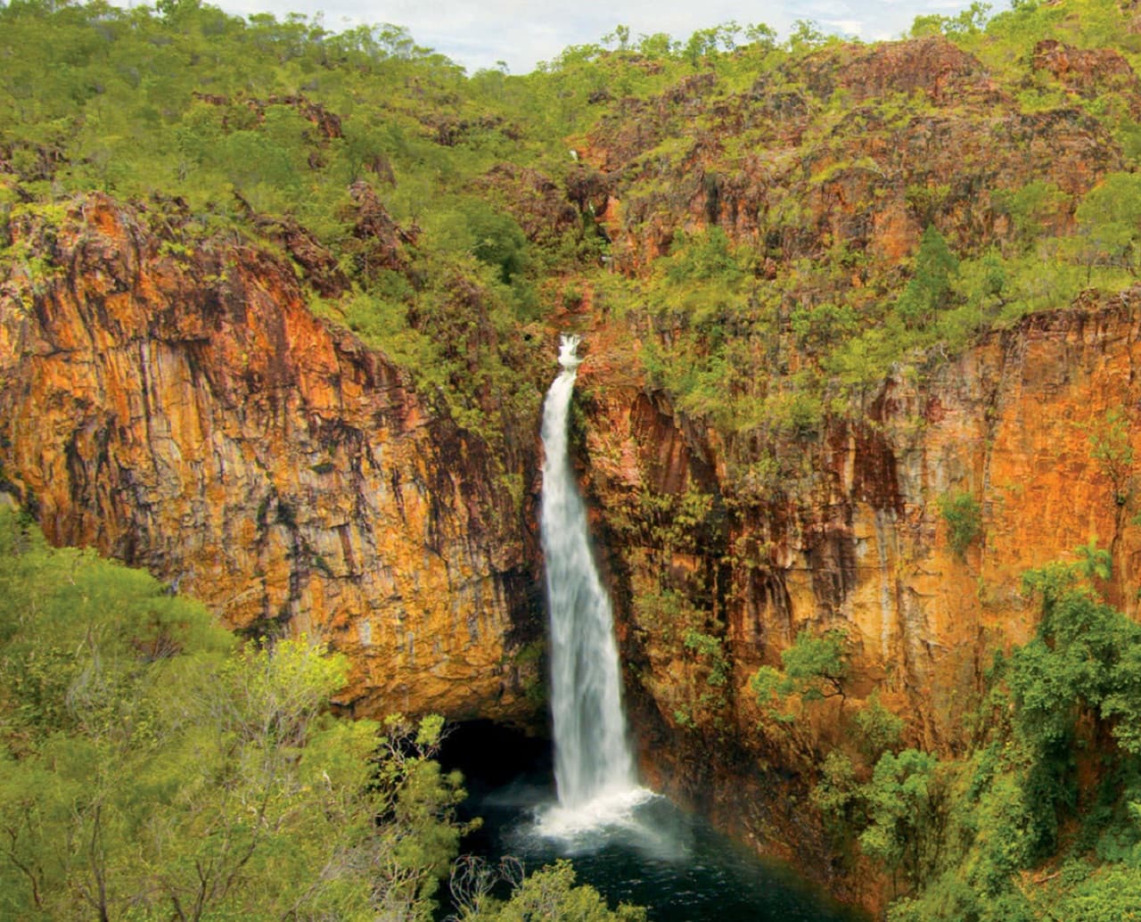 Litchfield National Park and Waterfalls Tour from Darwin - მთავარი სურათი