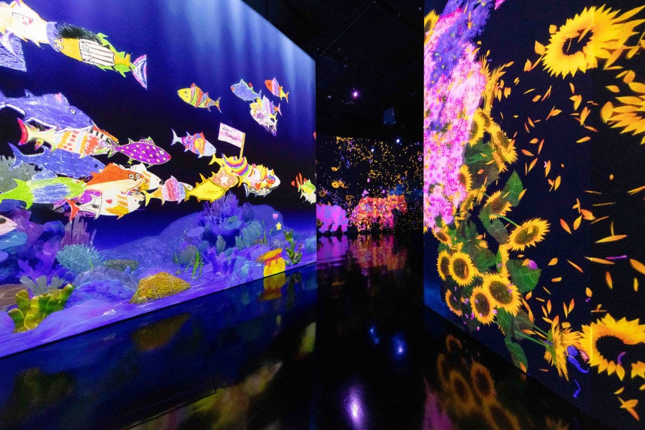 ArtScience Museum Ticket - სურათი 6