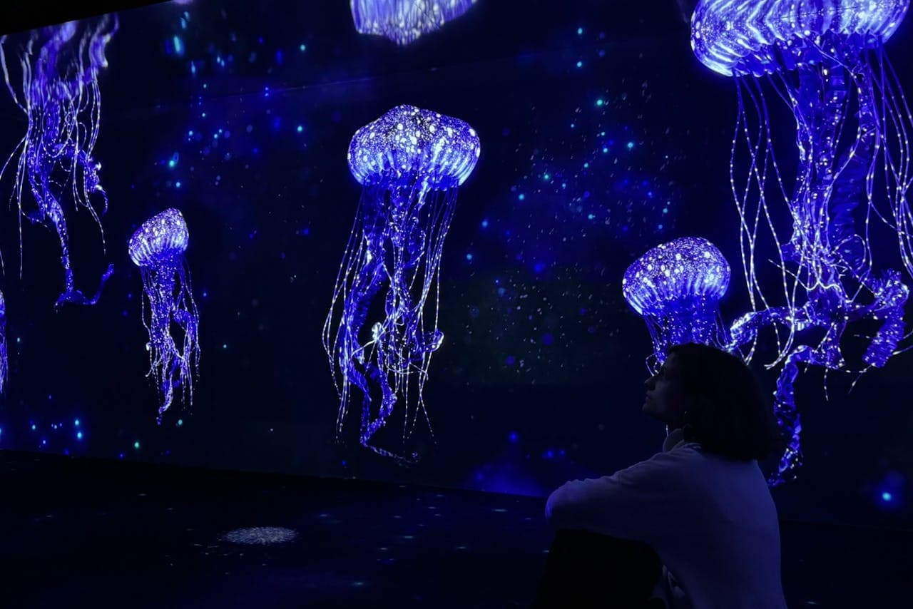 Oceanário de Lisboa Ticket - სურათი 15