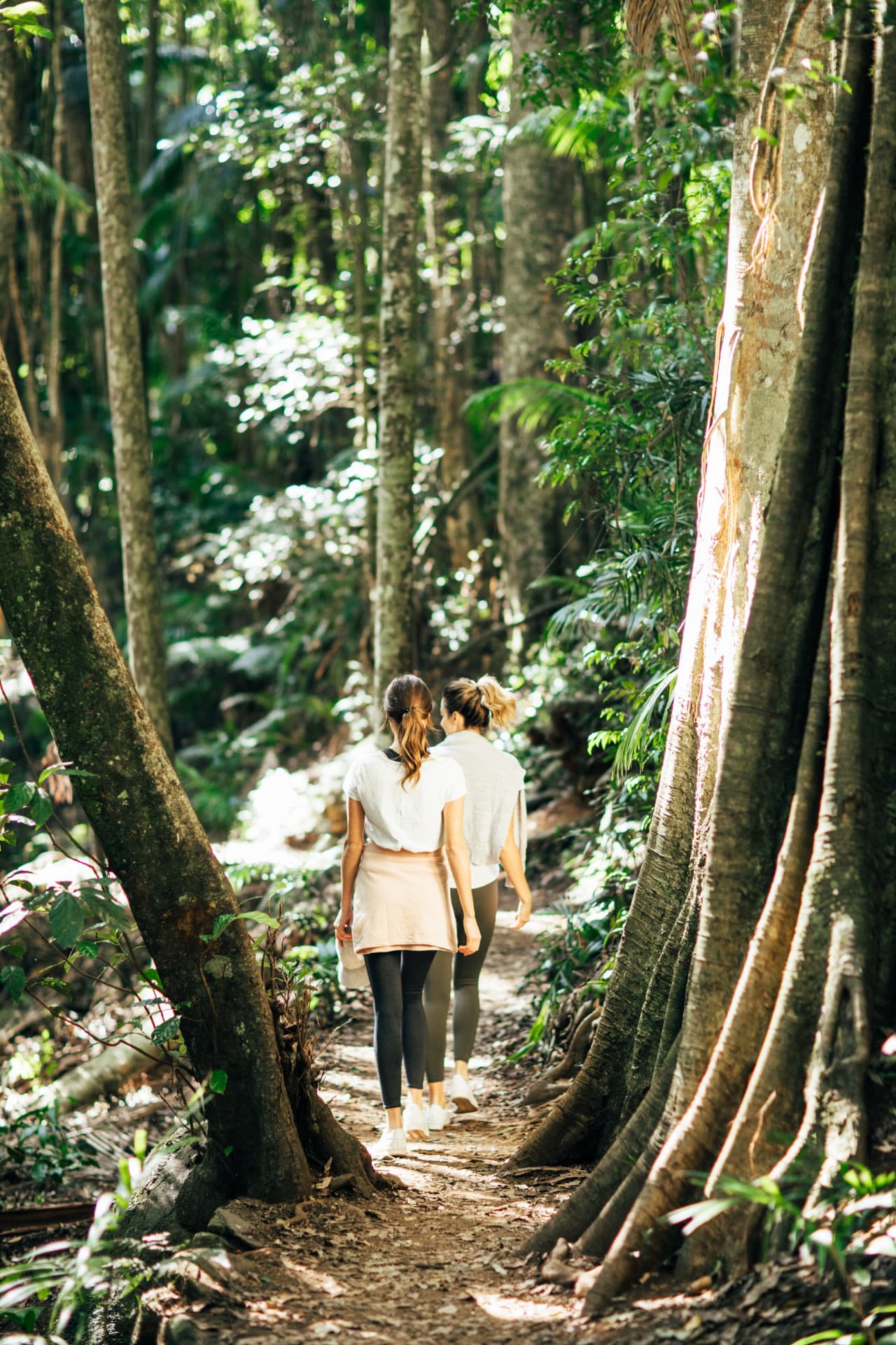 Springbrook National Park Tour: Natural Bridge and Waterfalls - სურათი 12