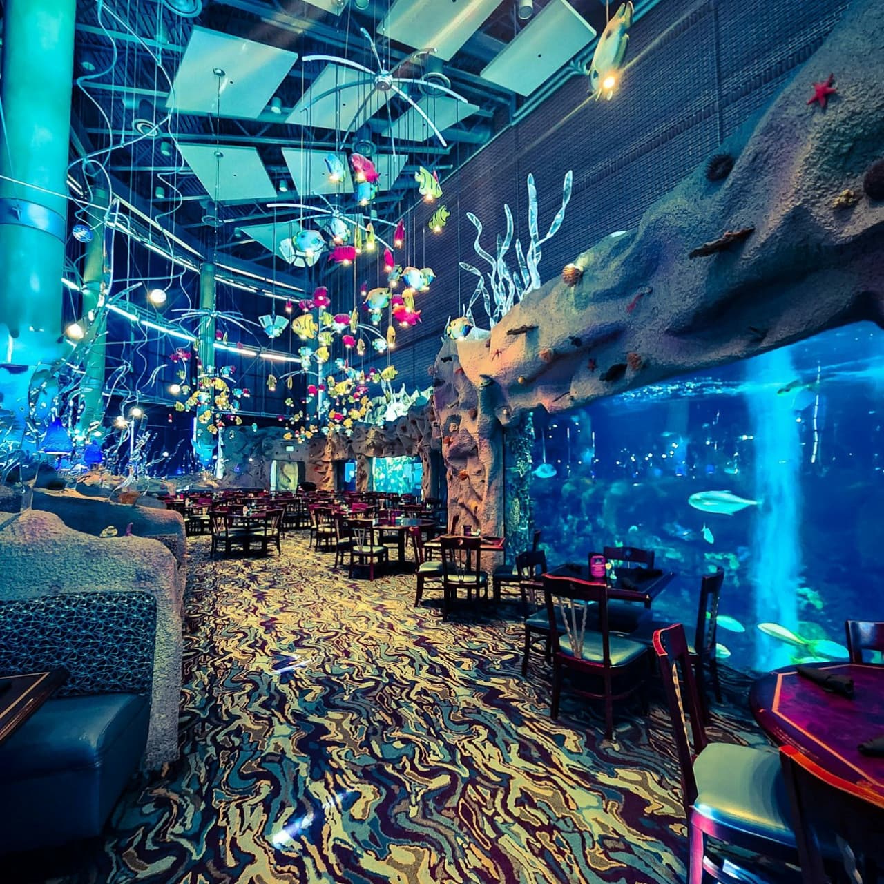 Downtown Aquarium Denver Ticket - სურათი 7