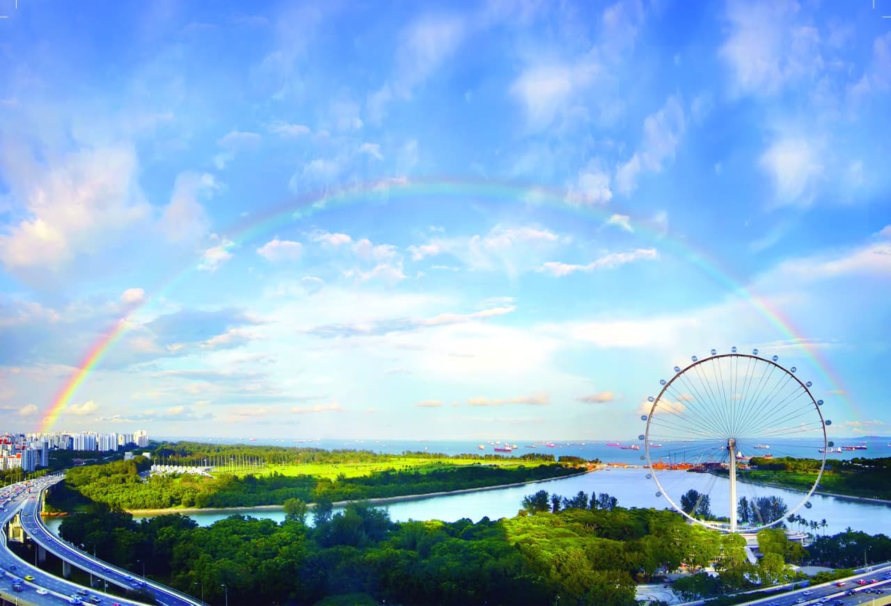 COMBO: Singapore Flyer + Gardens by the Bay Ticket - მთავარი სურათი