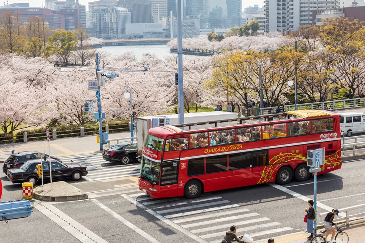 Osaka Sky Vista or Nani Wonder Sightseeing Bus Tour - სურათი 16