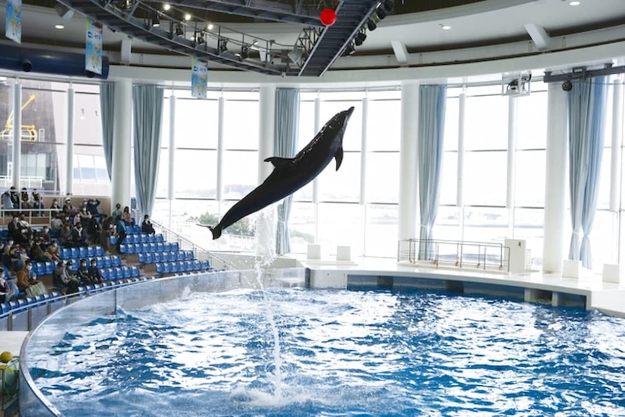 Aqua World Ibaraki Prefectural Oarai Aquarium Ticket - სურათი 6