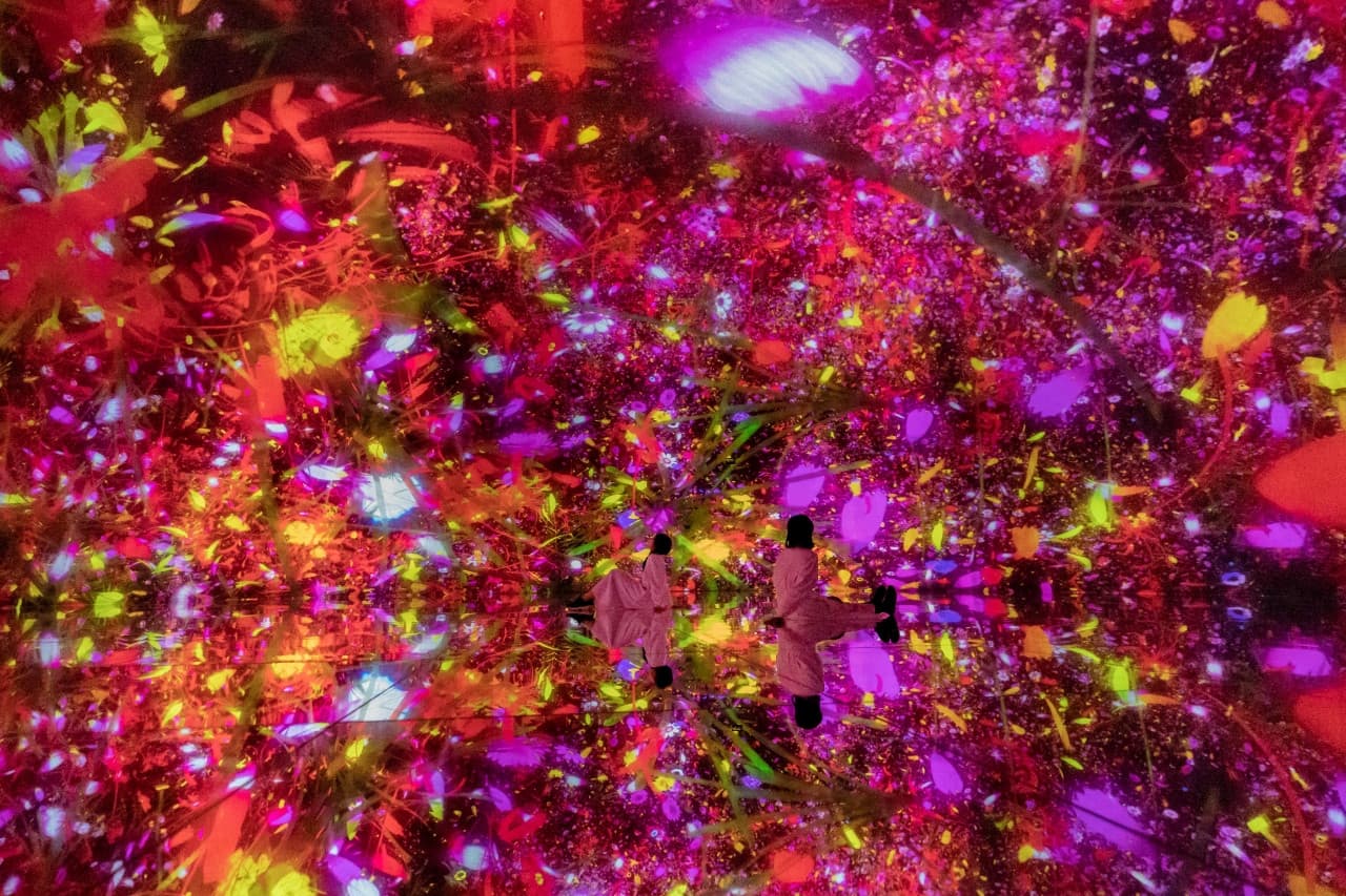 teamLab Planets TOKYO Ticket - სურათი 6
