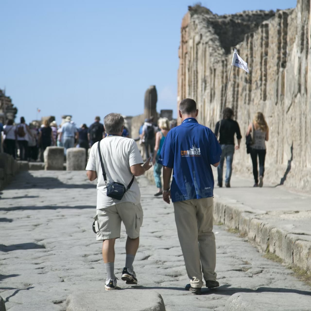 Pompeii & Mount Vesuvius: Entrance + Roundtrip from Rome - სურათი 3