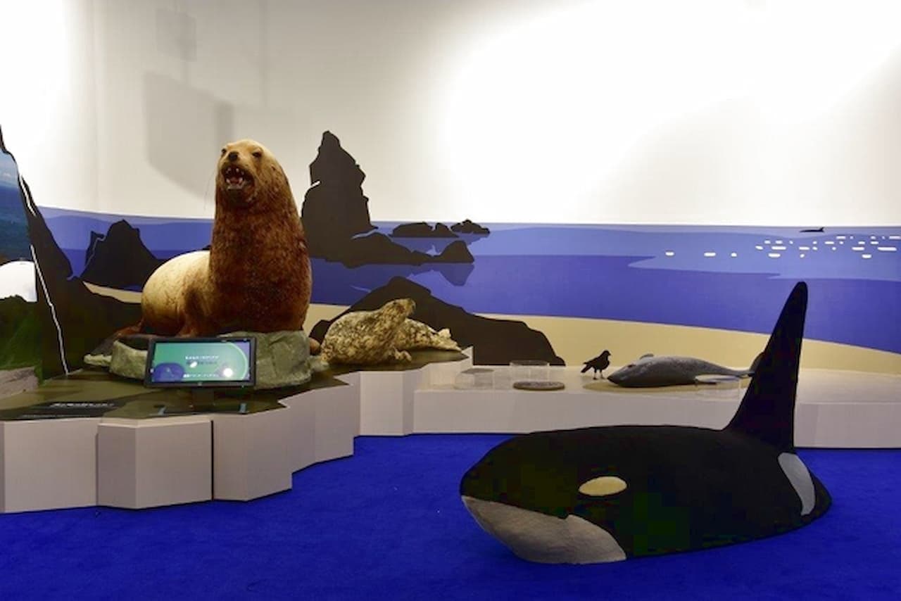 Hokkaido Museum Ticket - სურათი 6