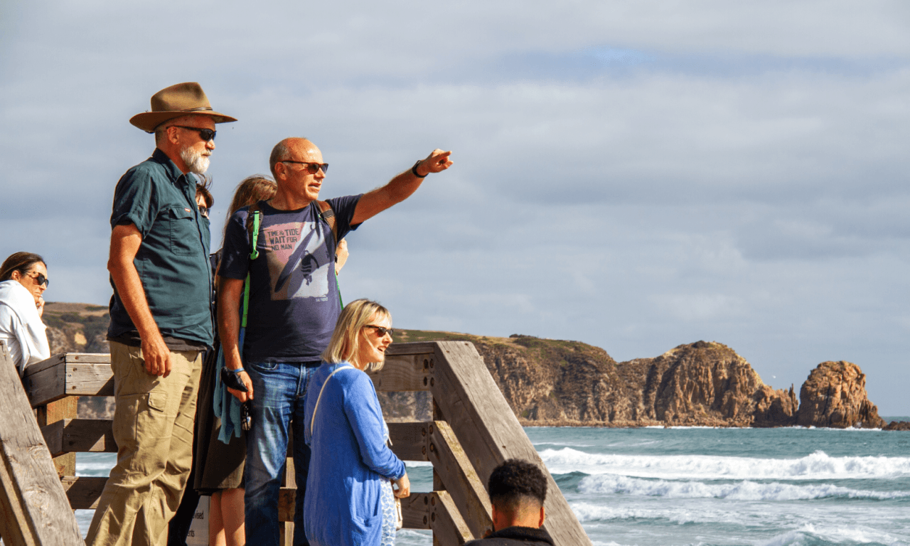 Penguins Express Tour from Melbourne - სურათი 6