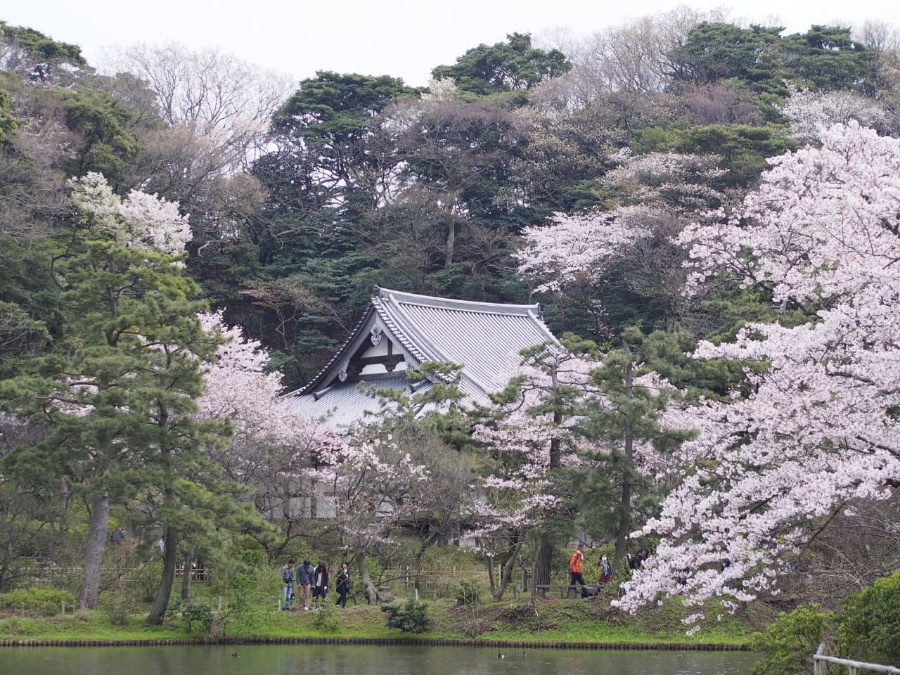 Sankeien Garden Ticket - სურათი 5