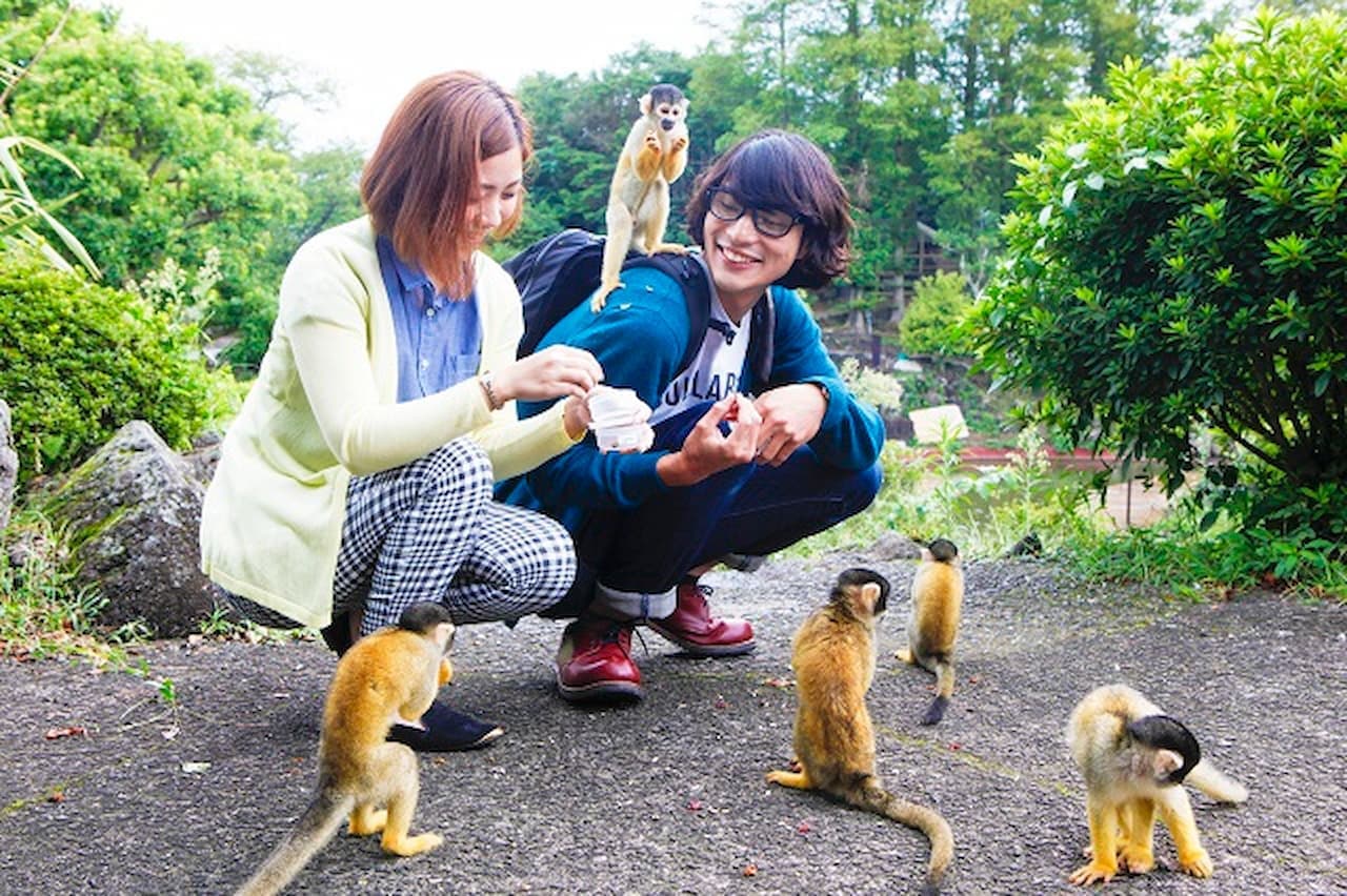 Izu Shaboten Zoo Ticket - სურათი 3