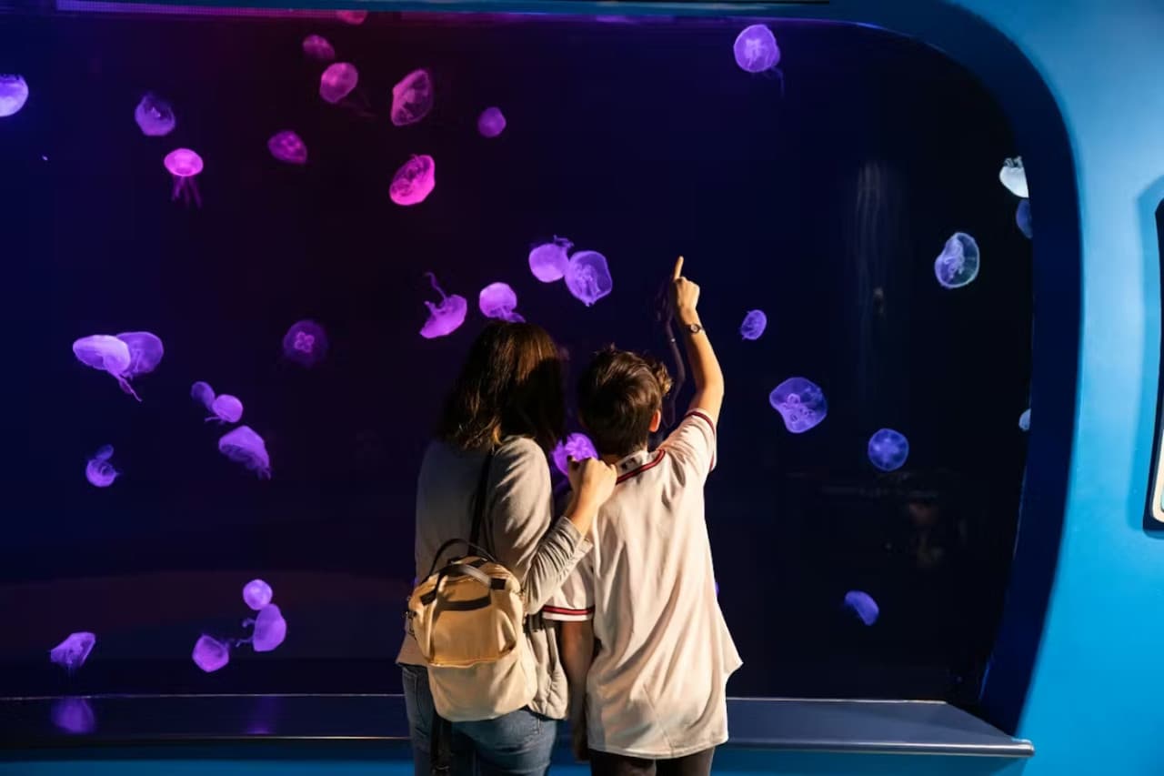 Georgia Aquarium: Fast Track Ticket - სურათი 12