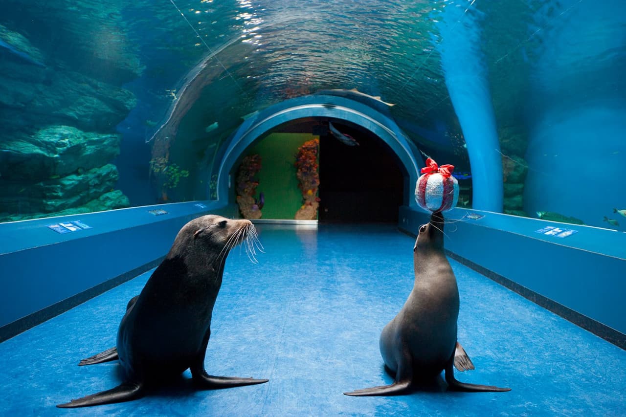 Maxell Aqua Park Shinagawa - სურათი 2