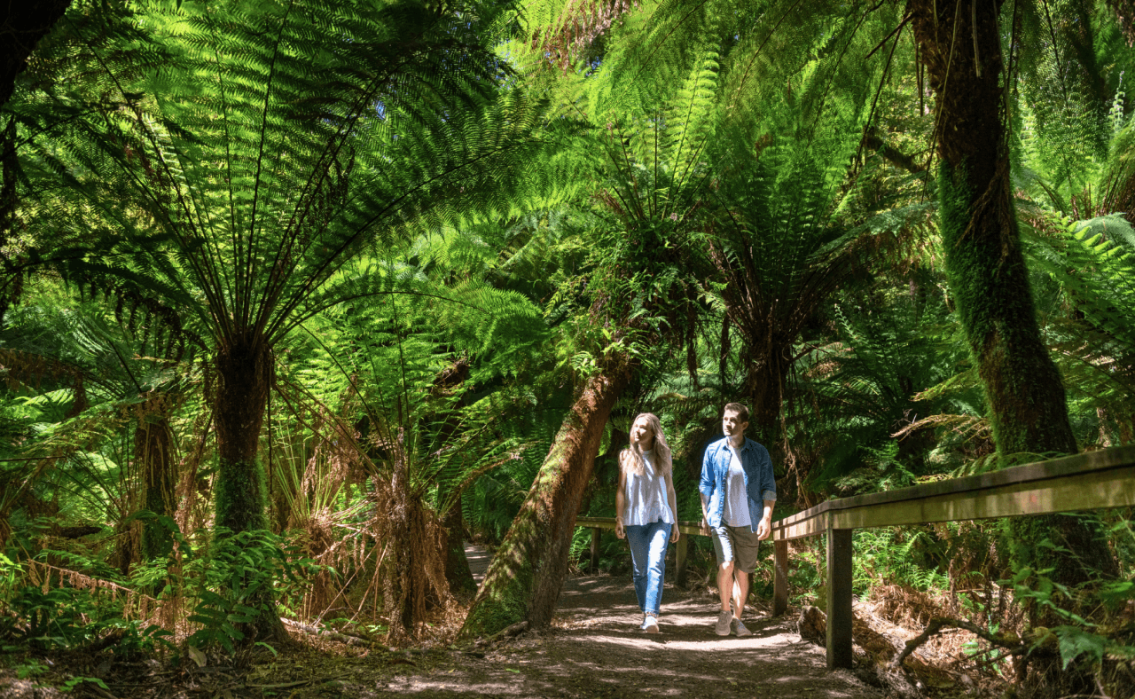 Great Ocean Road Tour from Melbourne - სურათი 7