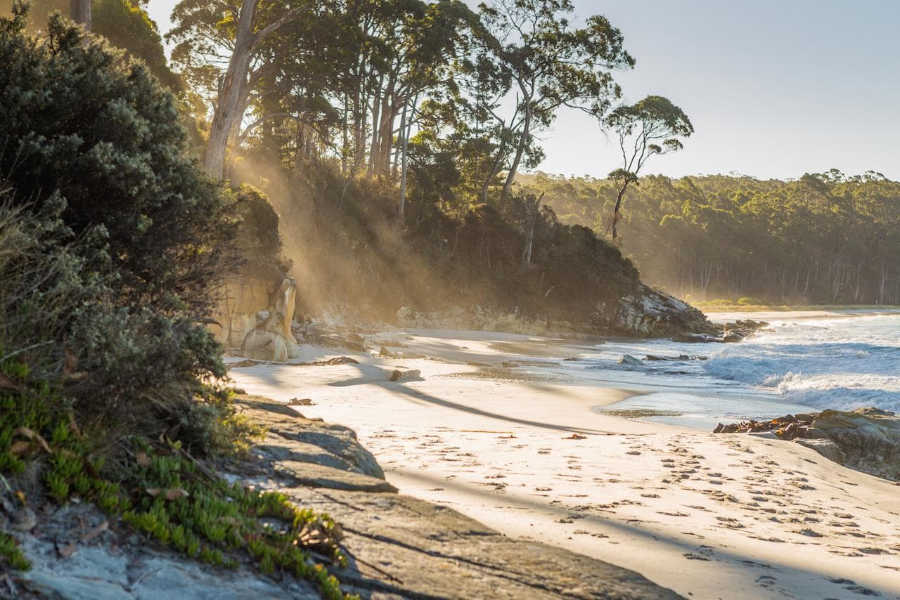 Bruny Island Full-Day Tour from Hobart - სურათი 2
