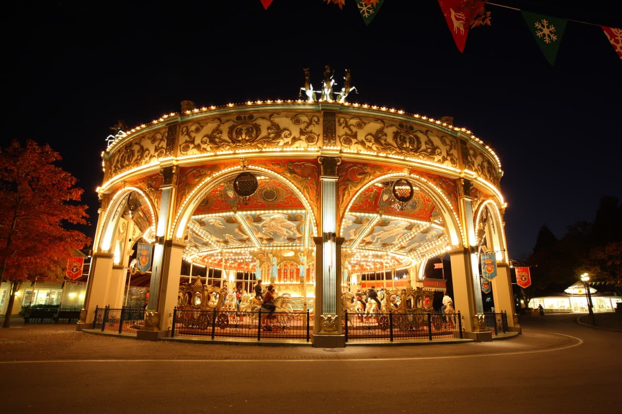 Everland Theme Park with Round Trip Transfers from Seoul - სურათი 17
