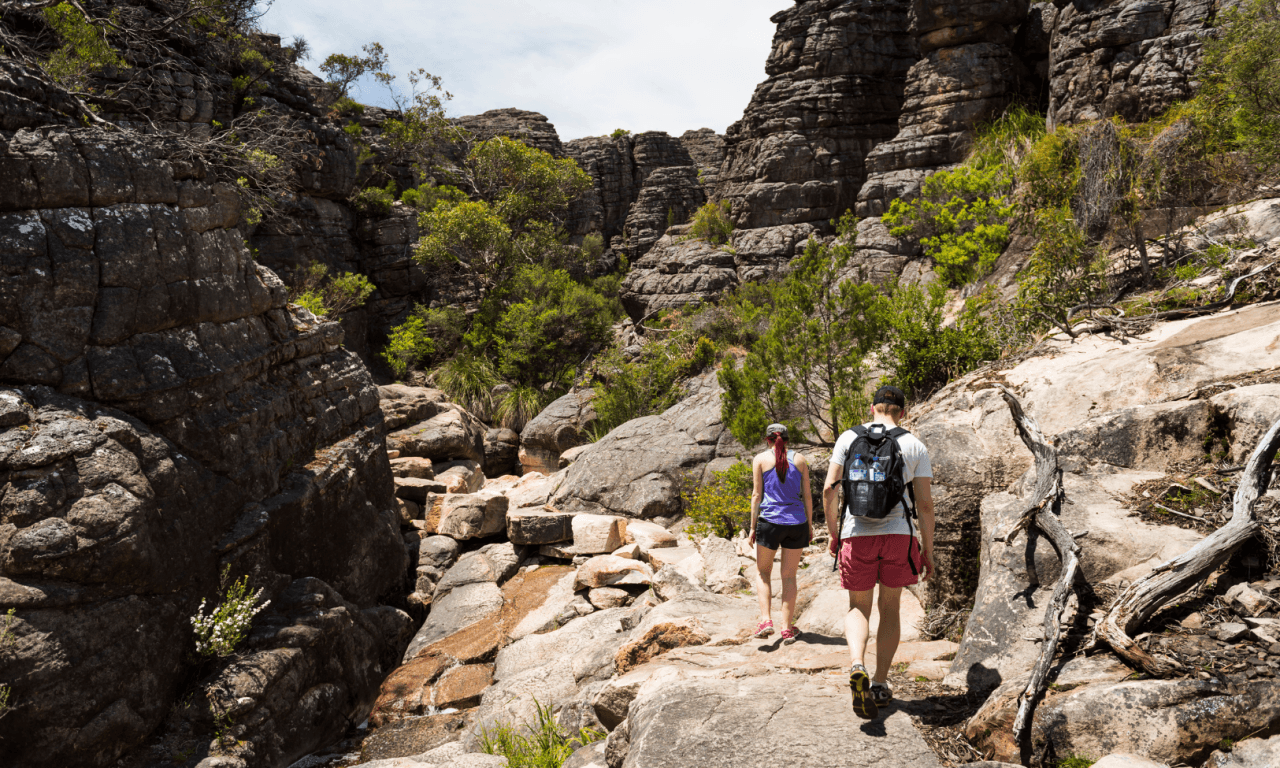 Grampians National Park Day Tour from Melbourne - სურათი 2