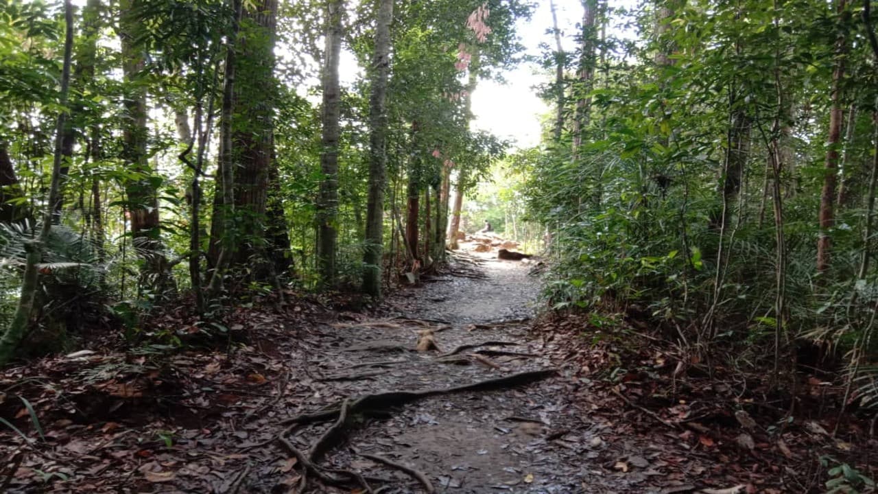 Taman Negara National Park Tour from Kuala Lumpur - სურათი 7