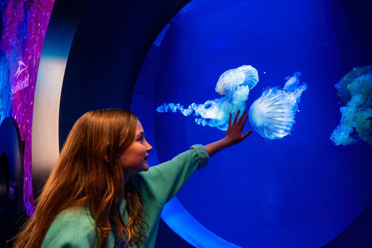 SeaWorld San Diego Ticket: Direct Entry - სურათი 6