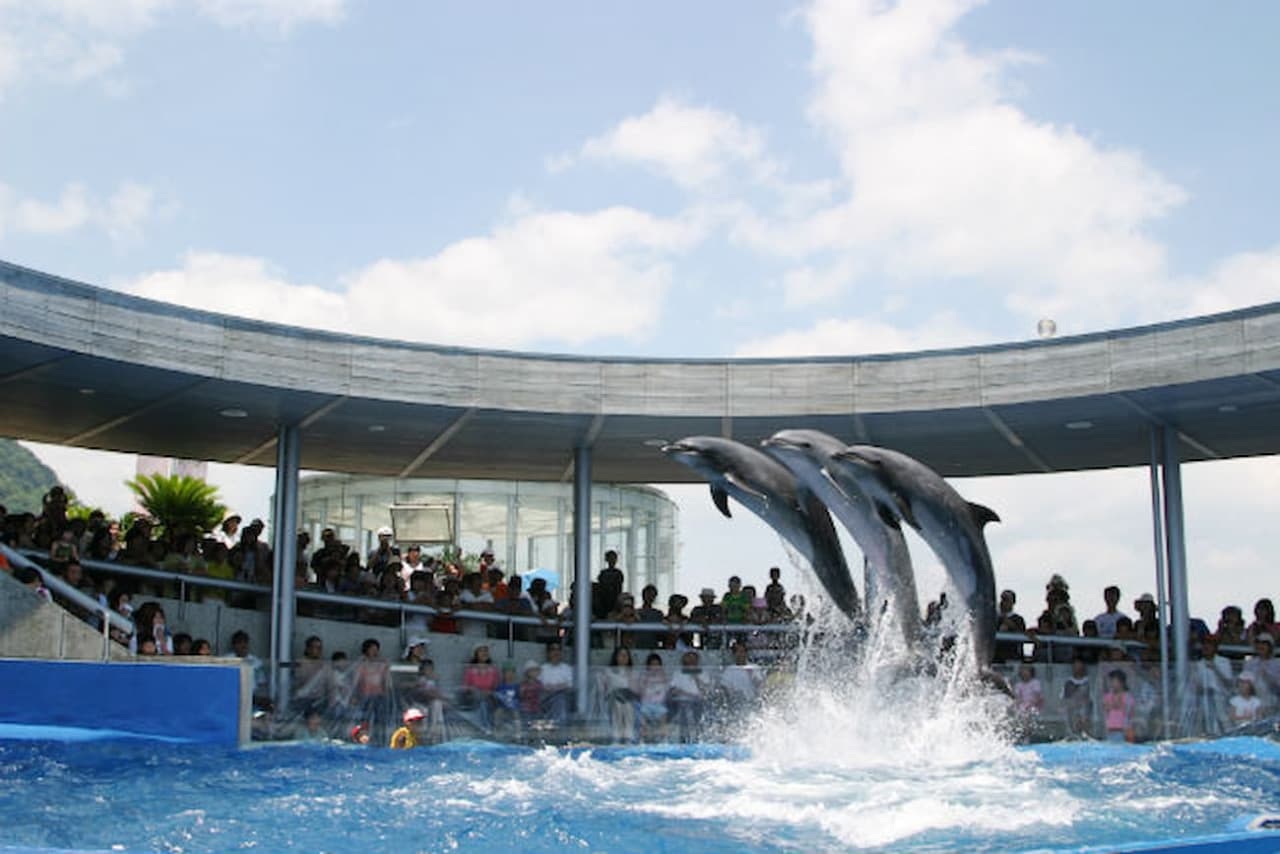 Oita Marine Palace Aquarium Umitamago Ticket - სურათი 8
