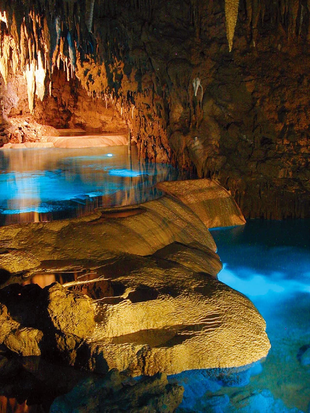 Okinawa World Pass - სურათი 7