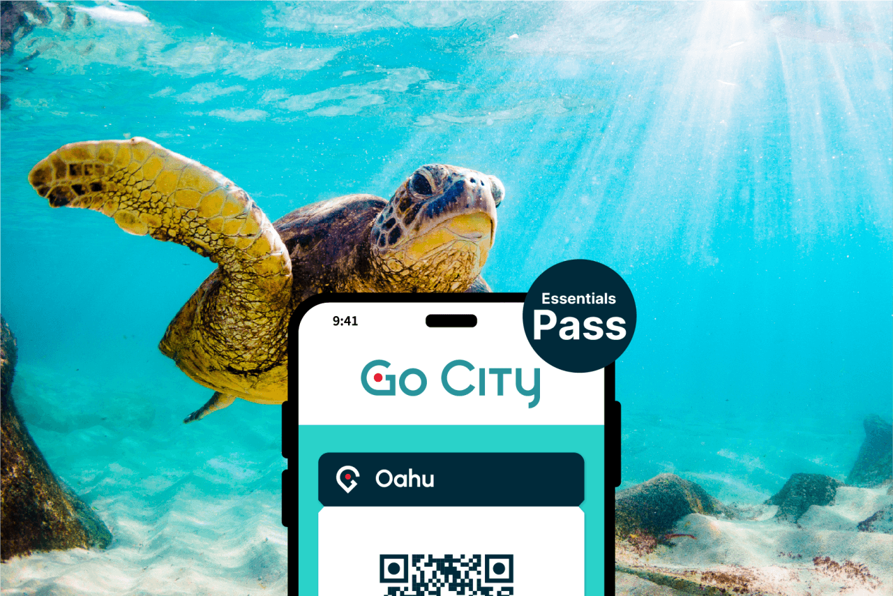 Go City Oahu Essentials Pass: 3 Attractions - მთავარი სურათი