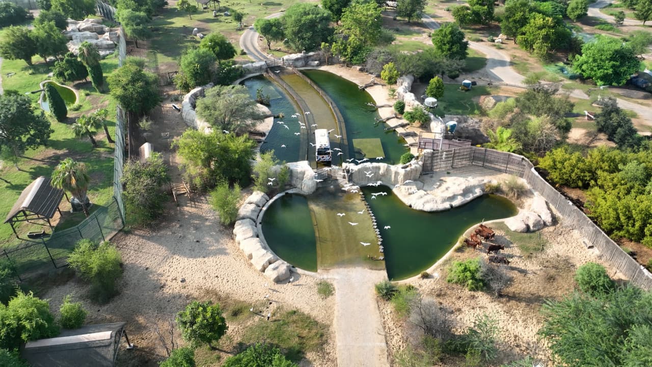 Dubai Safari Park Ticket - სურათი 30