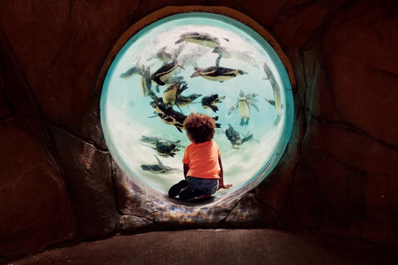 The London Pass: Save up to 50% on Attractions - სურათი 25