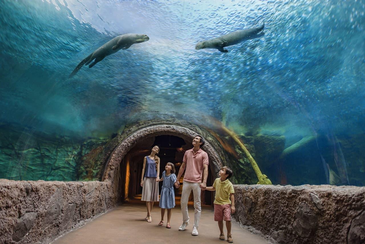 Mandai Destination Pass: Visit Up to 6 Attractions in 1 or 5 Days - სურათი 9