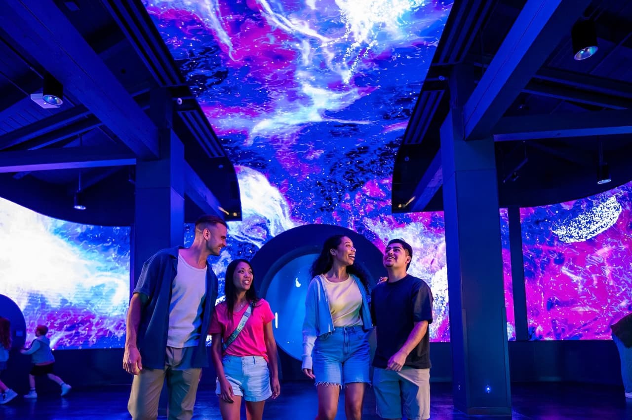 SeaWorld San Diego Ticket: Direct Entry - სურათი 5