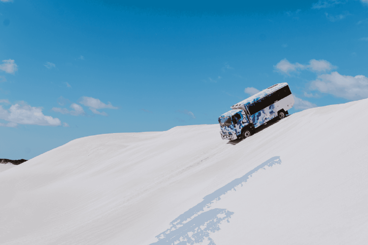 Pinnacles Desert Tour with 4WD Adventure from Perth - სურათი 6