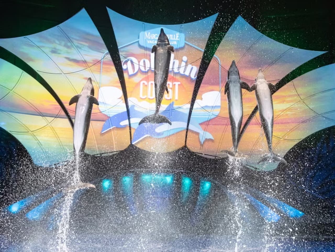 Georgia Aquarium: Fast Track Ticket - სურათი 5