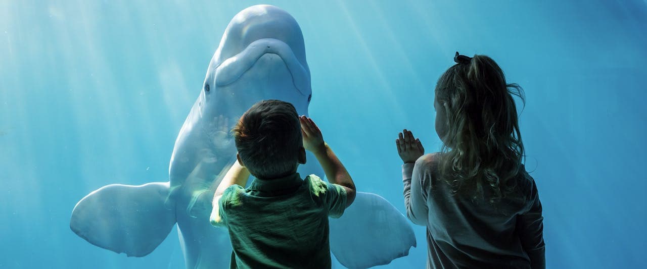 Chicago CityPASS: Admission to 5 Top Attractions - სურათი 2