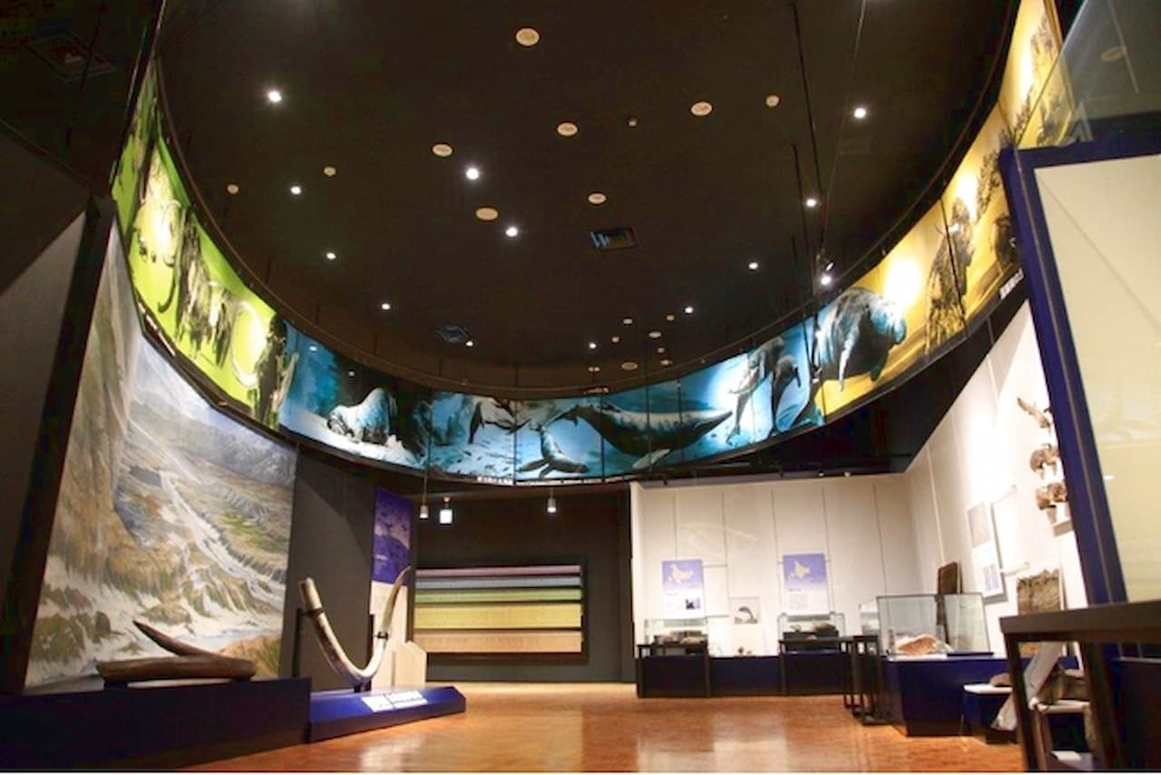Hokkaido Museum Ticket - სურათი 12