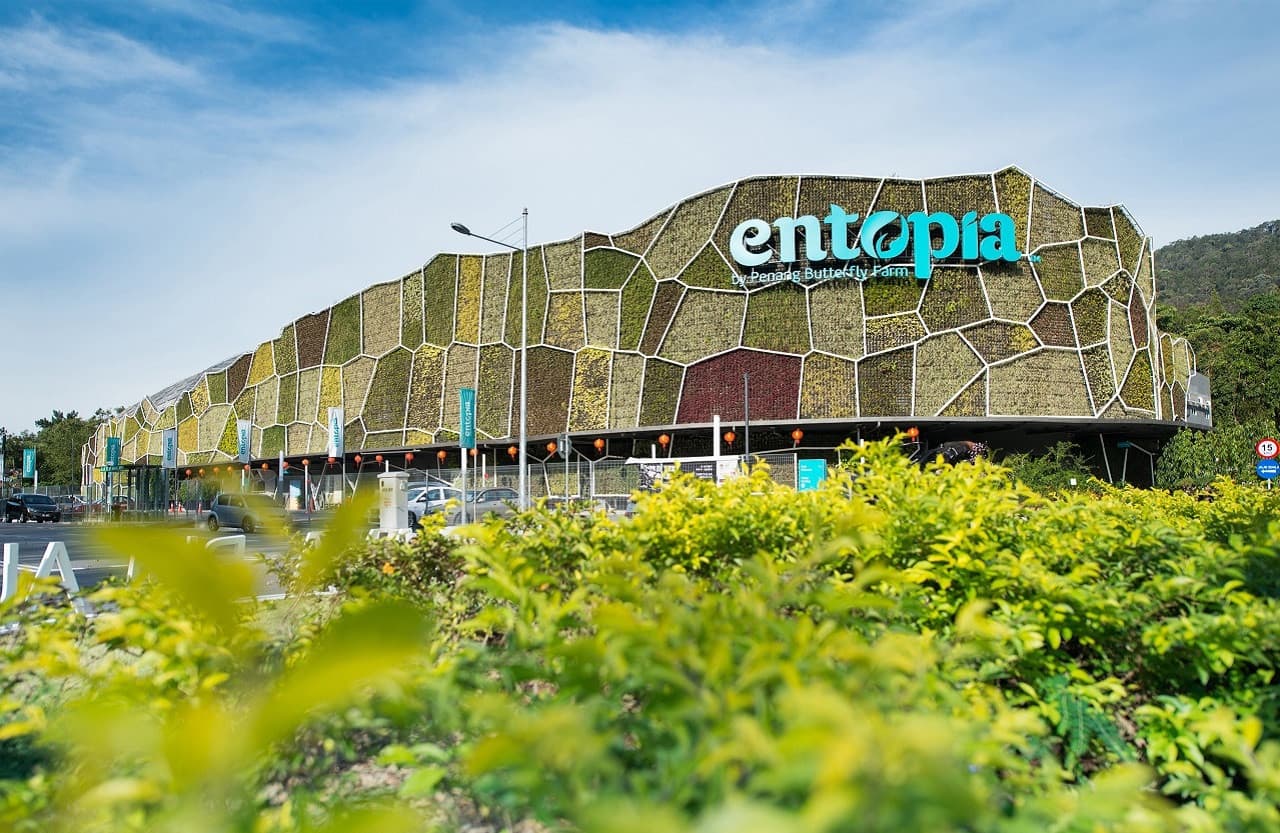 Entopia by Penang Butterfly Farm Ticket - სურათი 2