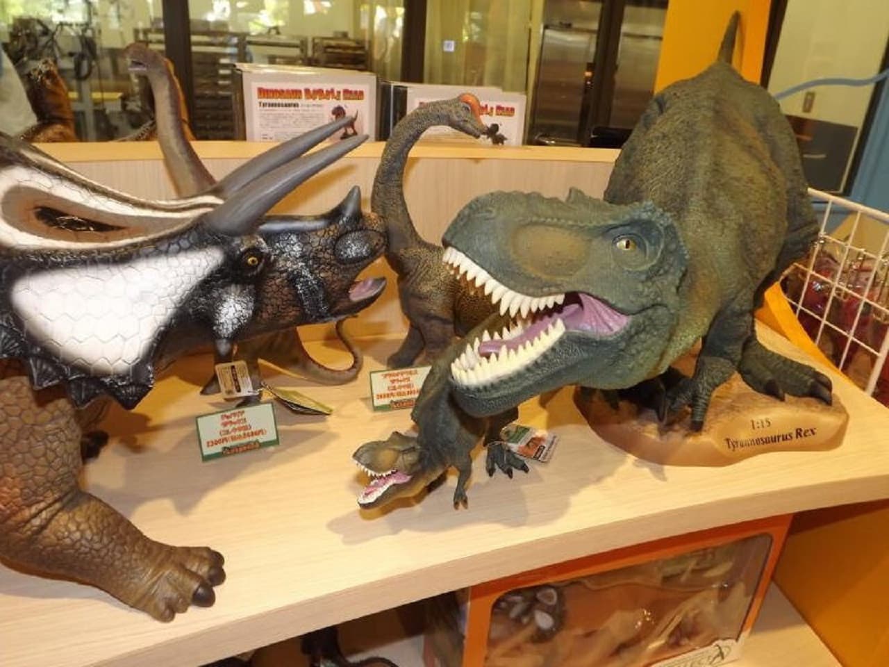 Okinawa Dino Park Yanbaru Subtropical Forest Ticket - სურათი 12