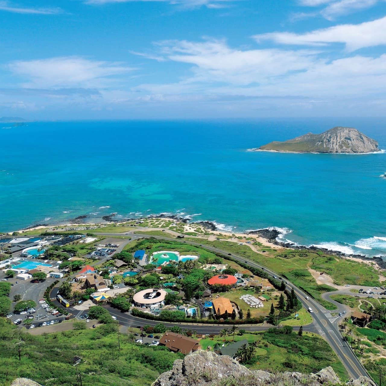 Sea Life Park Hawaii - სურათი 4
