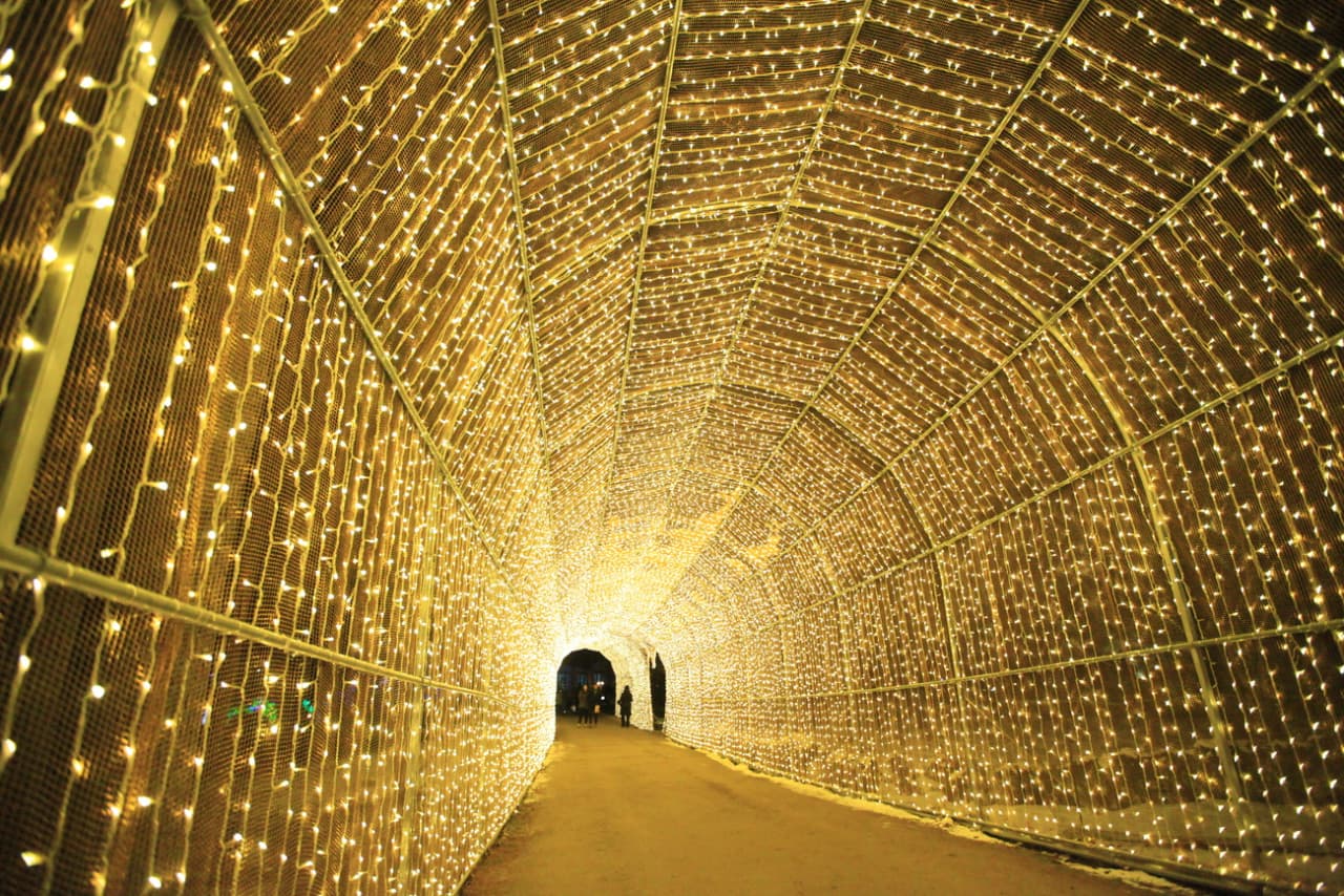 Nami Island and Garden of Morning Calm Tour from Seoul - სურათი 9