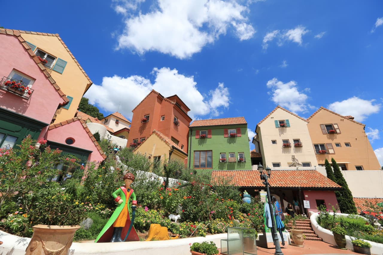 Nami Island, Petite France, Italian Village, and Garden of Morning Calm Tour from Seoul - სურათი 3