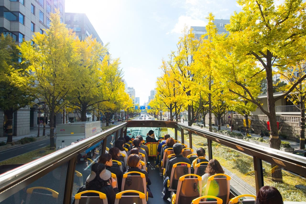 Osaka Sky Vista or Nani Wonder Sightseeing Bus Tour - სურათი 3