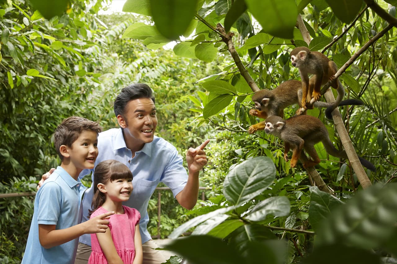 Go City Singapore Explorer Pass: Save up to 50% on Attractions - სურათი 18