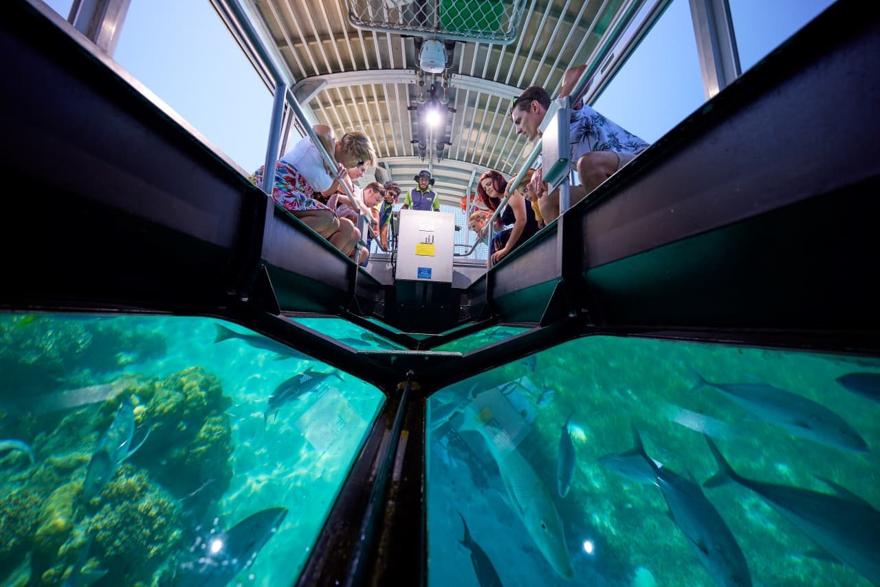 Green Island Great Barrier Reef Half Day Tour from Cairns - სურათი 3